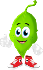 minti