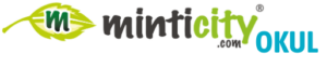 minticity-logo-okul